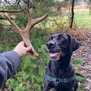 Meet your Posher, Erica